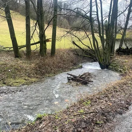 شقة Mit Balkon Und Toller Aussicht فيلنغن