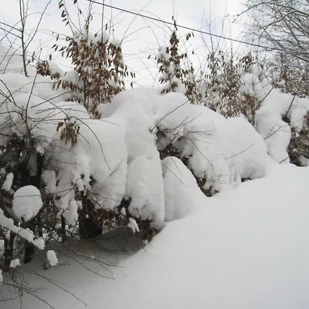 Mit Balkon Und Toller Aussicht