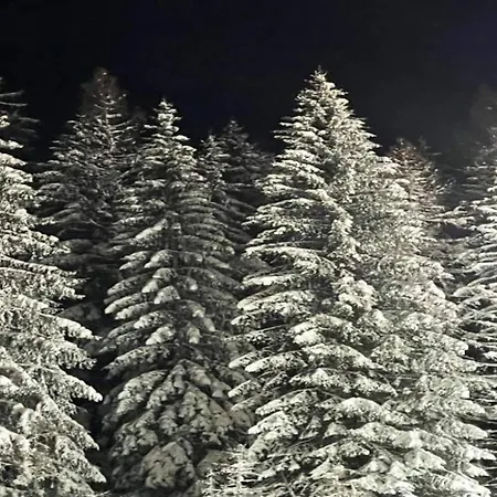 Mit Balkon Und Toller Aussicht فيلنغن